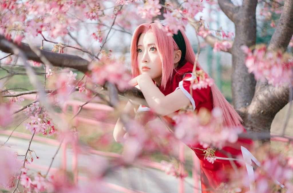 Sakura (1)