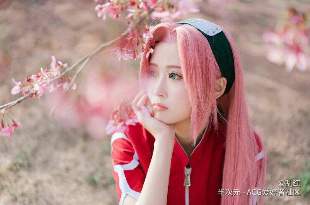 Sakura (10)