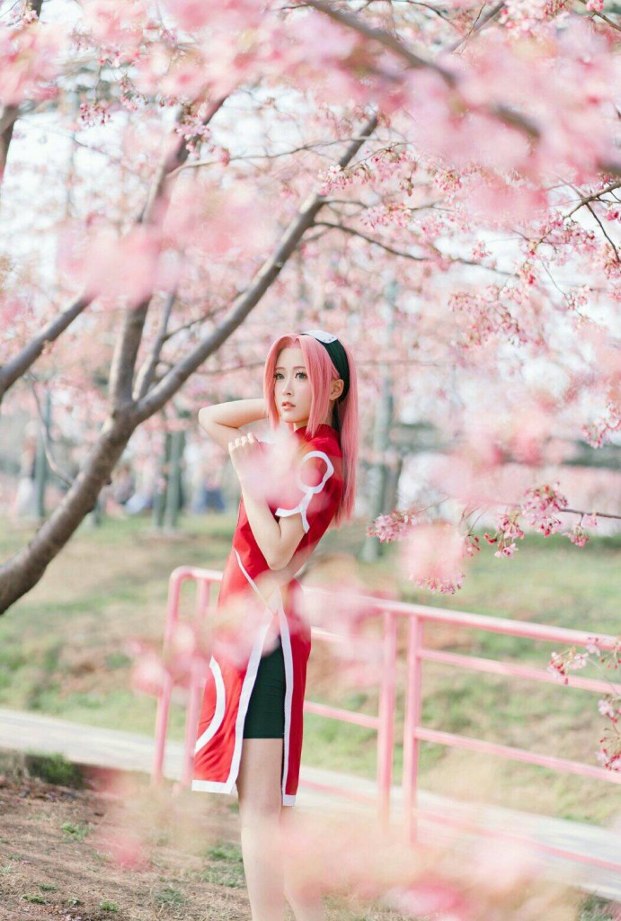 Sakura (11)