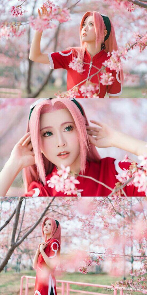 Sakura (13)