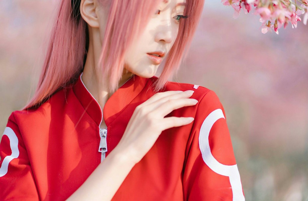 Sakura (4)