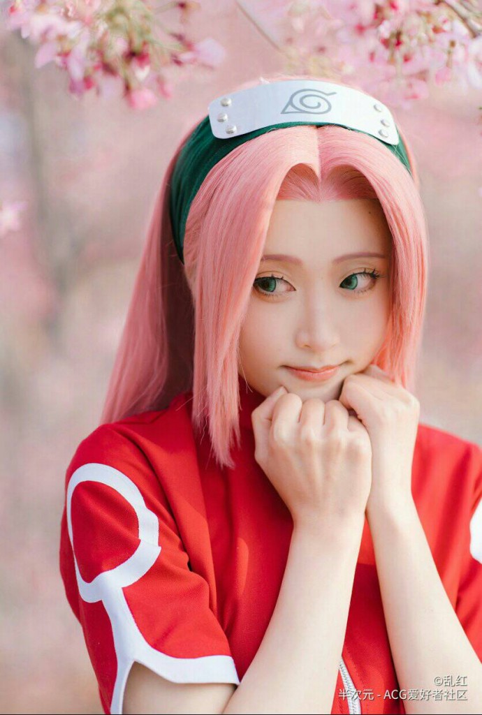 Sakura (7)