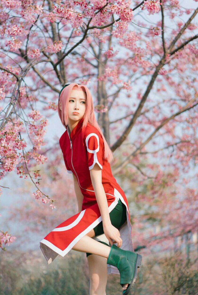 Sakura (8)