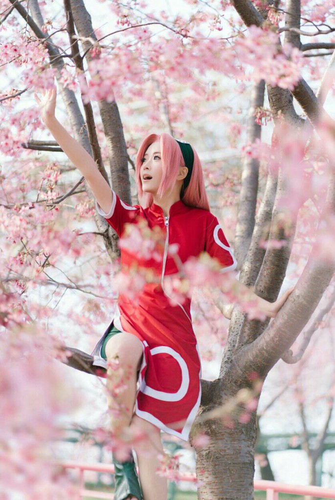 Sakura (9)